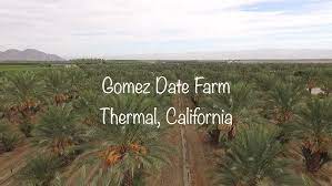 Also at harvest health food in palm desert. California Date Farm America S Heartland Youtube