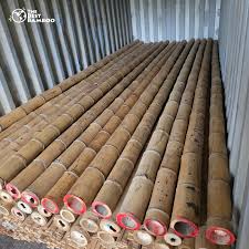 Guadua Bamboo Poles for Sale from Colombia — The Best Bamboo ...