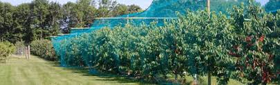 We did not find results for: Fruit Tree Netting Smart Net Systems Industrial Netting Systems