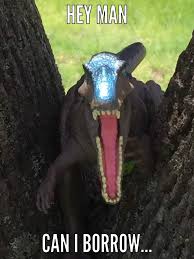 Tree Fiddy Jurassic Park Amino