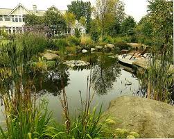 Alka Pool A Place To Unwind Read And Contemplate The Joys Of Life Swimming Pools Backyard Natural Pond Backyard Pool