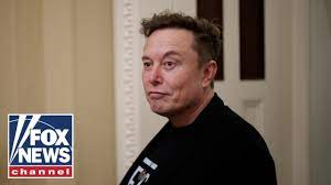 MAKING SACRIFICES: Musk's role in DOGE coming at a cost - YouTube