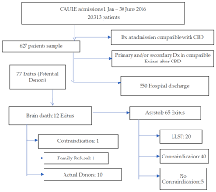 Top 10 blogs in 2020 for remote teaching and learning. Ijerph Free Full Text Examination Of The Brain Dead Organ Donor Management Process At A Spanish Hospital Html