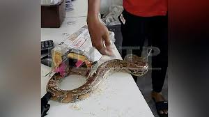 Dan barang sampi di poslaju bayan lepas pkul 10:04:26am 5hb sept 2018. Zalim Dan Berbahaya Pos Malaysia