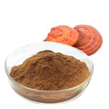 Reishi Mushroom In Indore Madhya Pradesh At Best Price | Reishi Mushroom  Manufacturers Suppliers In Indhur