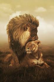 Top 10 Emotional Photos Of Animals Top Inspired Animals Animals Beautiful Lions