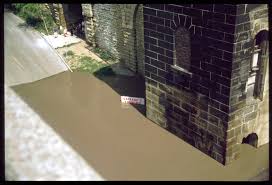 Image result for Red Marina 1993 UMM