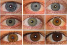 What Color Are Your Eyes Exactly