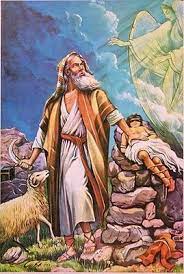 Il est coutume pour les musulmans de sacrifier un mouton lors de cette fête. Aid El Kebir Le Jour J Destination Maroc