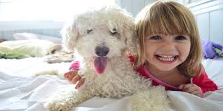 SalusCare: Kids, pets are win-win combination