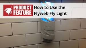 Captured only on hawgnsonstvoctober 23 2016 lake county i. Fly Bait Fly Attractant Products Diy Fly Control Free Shipping