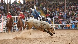 This year there will be 5 chances to see the wildest show in the south, so mark your calendars for october 3rd, 10th, 17th, 24th, and 31st! Angola S Prison Rodeo Offers Inmates A Death Defying Taste Of Freedom