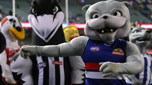 British bulldog mascot sid of the footscray western bulldogs australian football club. Afl Mascots Reveal What It S Like Inside The Suits Perthnow