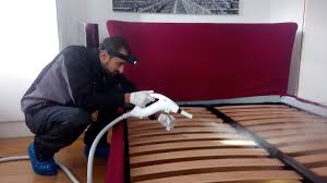 Watch a short video on how lady bug started and the crusade to change the perception of pest control. Bed Bug Hunters On Twitter Steam Heat Treatment With Super Heated Dry Steam Is A Non Toxic Cost Efficient Method For Integrated Bedbug Management And Control Ensuring Complete Removal And Eradication Of All Life Stages