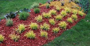 Maybe you would like to learn more about one of these? What S The Best Mulch For My Landscape My Garden Life