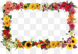Free cornice fiori graphics for creativity and artistic fun. Cornice Fiori Png Trasparente E Cornice Fiori Disegno Fiore Cornici Fotografia Clip Art