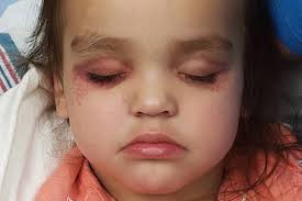 Fundraiser for Ashley Curtin by Courtney Bailey : Abrielle's CF Hospital  Fund