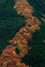隠れた紅葉スポット ナメゴ谷 わくわく絶景写真旅 わくたび 絶景 紅葉 絶景 紅葉