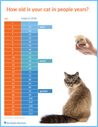 42 Unbiased Growth Chart For Kittens