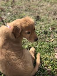 We are a full service. Bay Beach Veterinary Hospital 24 Photos 106 Reviews Veterinarians 4340 Virginia Beach Blvd Virginia Beach Va Phone Number