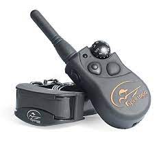 Top picks related reviews newsletter. The Best Shock Collar July 2021