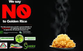 Golden rice was bred using a combination of genetic modification and other breeding methods. Campaign Against Golden Rice And Other Gmos In The Philippines Iatp