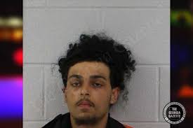 Willie Palmer — Carroll County Jail Bookings