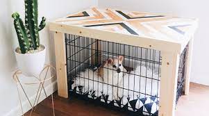 Disinfect walls of the kennel as well as the floor, especially if kennels are used by multiple dogs, to prevent the spread of viruses and bacteria that can cause disease. Pet Crate Options That Are Totally Display Worthy Sunset Magazine
