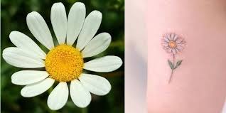 We have daisy tattoo ideas, designs, symbolism and we explain the meaning behind the tattoo. The Best Daisy Tattoo Ideas And Meaning Howlifestyles Daisy Tattoo Simple Girl Tattoos Small Daisy Tattoo