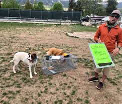 Mountain pet rescue asheville is a foster based group of pet lovers that are committed to the welfare of pets and their humans. Summit Lost Pet Rescue Forms As Nonprofit Dedicated To Finding Lost Dogs And Cats Summitdaily Com