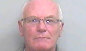 stella patterson (@glenarmbears)