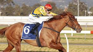 Veteran jockey lands incredible 31,620-1 treble