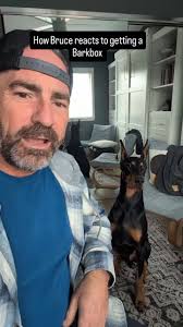 He loves getting packages 😁 #bruceofrubydoobydo #brucethedoberman  #doberman #dobermann #rubydooby_do, #dogsofinstagram showdogs