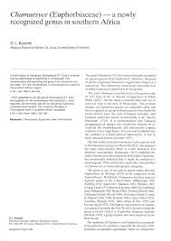 Image result for Euphorbia mossambicensis