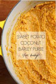 Homemade Baby Food Recipes Baby Food Recipes Homemade Baby Foods Baby Puree Recipes