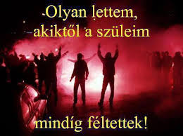 ˈfɛrɛnt͡svaːroʃ), fradi, or simply ftc, is a professional football club based in ferencváros, budapest, hungary. Ferencvaros Ultras Home Facebook