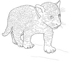 Ausmalbilder Ausmalbilder Jaguar Zum Ausdrucken Kostenlos Fur Kinder Und Erwachsene