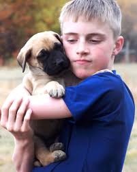 Zachary Scott Simpson Obituary September 4, 2024