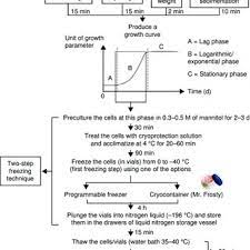 Maybe you would like to learn more about one of these? Pdf Initiation Growth And Cryopreservation Of Plant Cell Suspension Cultures