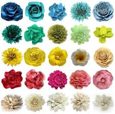Different Types Of Flowers Chart Pictures Of Flowers