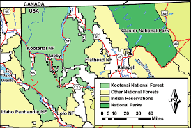 Maybe you would like to learn more about one of these? Location Map Of Kootenai National Forest Download Scientific Diagram