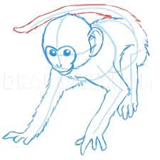 Pin On Drawing Monkey