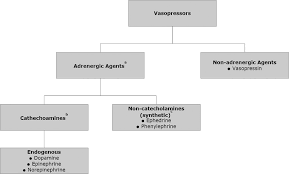 Image result for Vasopressor