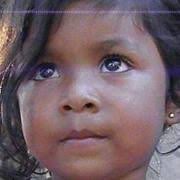 Phyllis Bracken (phyllisbracken)