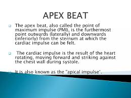 Image result for Point of Maximum Impulse