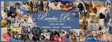 Paradise pet resort & spa offers pet boarding, professional grooming services, dog daycare, training and a. Paradise Pet Hotel And Day Spa Photos Facebook
