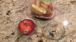 Check spelling or type a new query. How To Germinate Apple Seeds The Easy Way Youtube