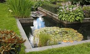 Leg Een Vijver Aan In Je Tuin