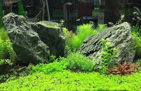 Seachem Flourish – Tropical Aquarium
