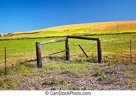 Whether you choose hydroseed or grows well in washington and most other inland zones. Red Stop Sign Green Wheat Grass Fields Blue Skies Abstract Palouse Washington State Pacific Northwest Canstock